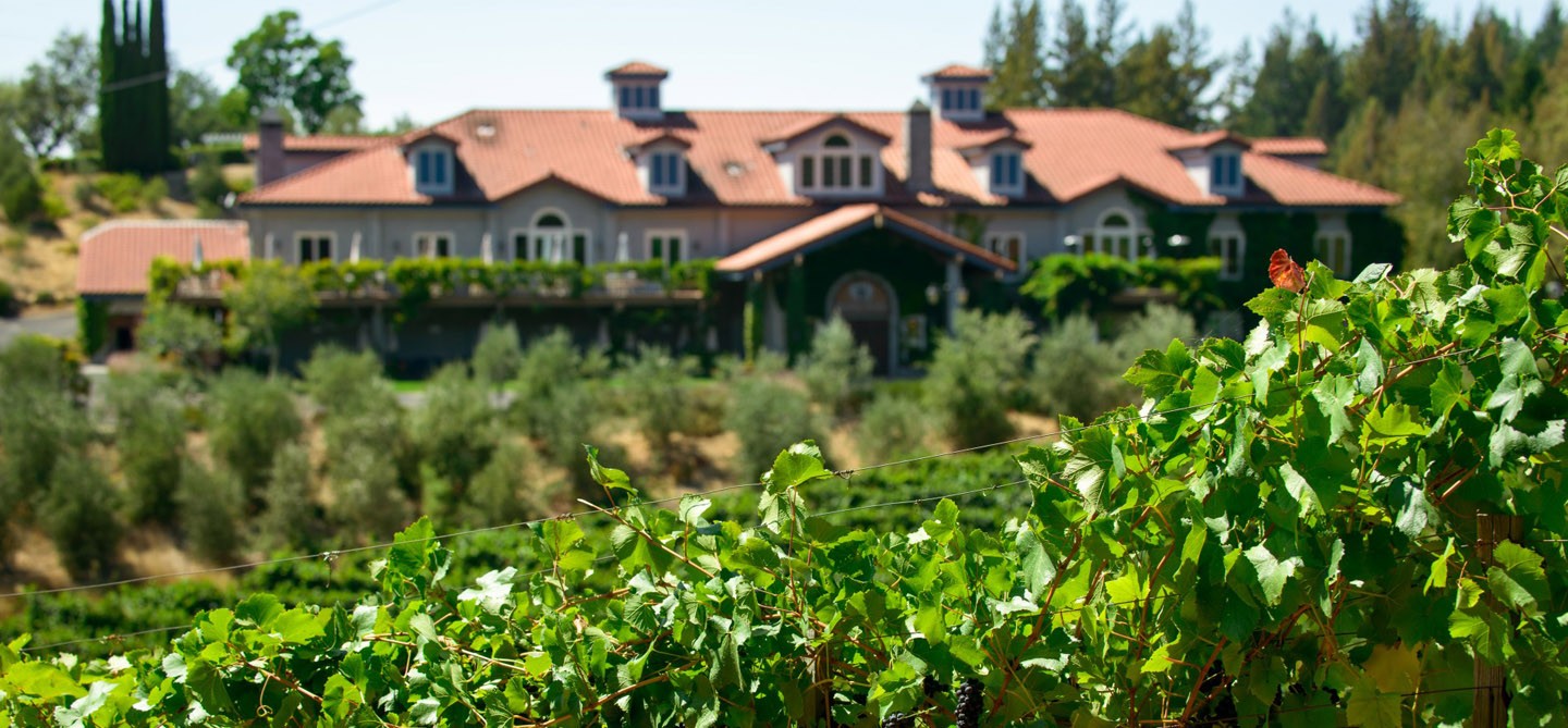 Byington Vineyard & Winery Focused on growing and producing premium