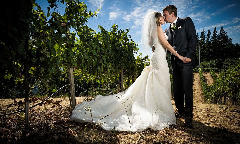 Weddings Byington Vineyard Winery Weddings