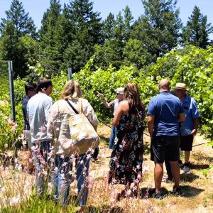 A small tour group gathered in front of vines